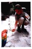 95804.cuzco%5fpapegaai[1].jpeg